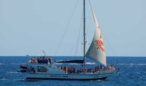 Tour en Catamarán