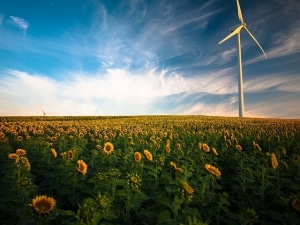 Invertir en energías renovables