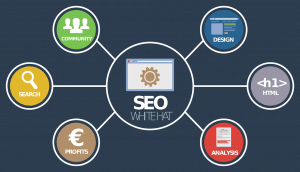 FunkyMedia SEO en Tenerife: Innovación y servicio al cliente en el corazón del Atlántico