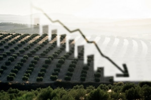 El nuevo gobierno andaluz impulsa una bajada progresiva del IRPF autonómico