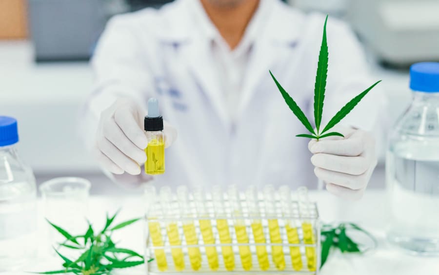 Qué es el CBD características, usos y diferencias con el THC